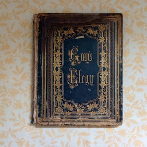 Antique Poetry Book: Gray&#39;s Elegy, Illustrated Ornate Binding, Shabby Chic