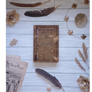 Vintage Cookbook: Vintage Modern Priscilla Standard Cookbook Special Edition 1000 Recipes 1928