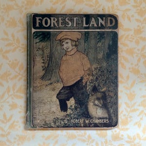Antique Book: 1905 First Edition Forest-Land By Robert W. Chambers Illustrated By Emily Knipe | Childhood Memories Storytime Picture Book