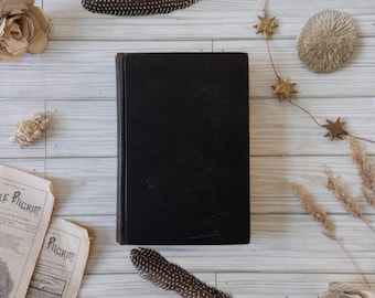 Antikes Buch John Brown's Body, Stephen Vincent Benet, 1928 Erstausgabe