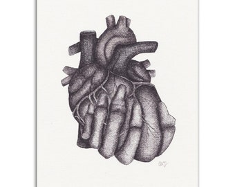 Anatomy heart in skeleton hand