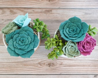 Potted Felt Succulent