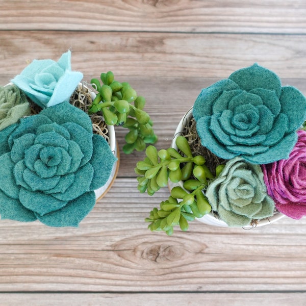 Potted Felt Succulent