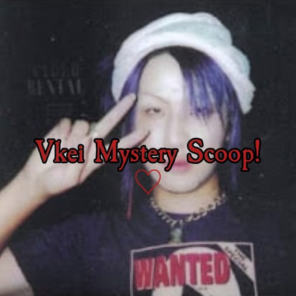 Visual Kei/Vkei Mystery Scoop (Beschreibung lesen!)