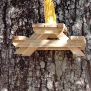 Squirrel feeder