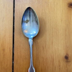Vintage Fraget N Plaque Silver Plated Serving Spoon - 9&quot; Spoon - Antique Home - Made in Poland