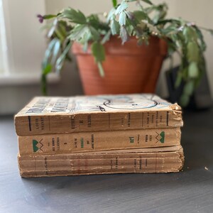 Può includere: Una pila di tre libri tascabili vintage con copertine marroni e testo verde e bianco. I libri sono intitolati "Des Minnes Illustres", "La Vie de Bisraeli" e "Histoire de Voleurs".