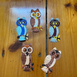 Pode incluir: Cinco patches bordados de corujas em várias cores, incluindo marrom, azul e branco. As corujas estão empoleiradas em galhos e têm olhos grandes e redondos.