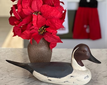 Pintail antiguo