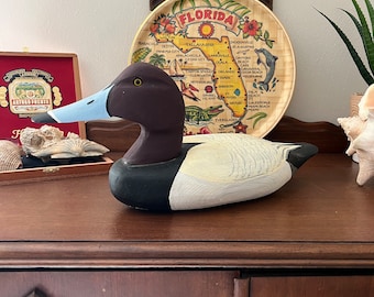 Pato pico azul