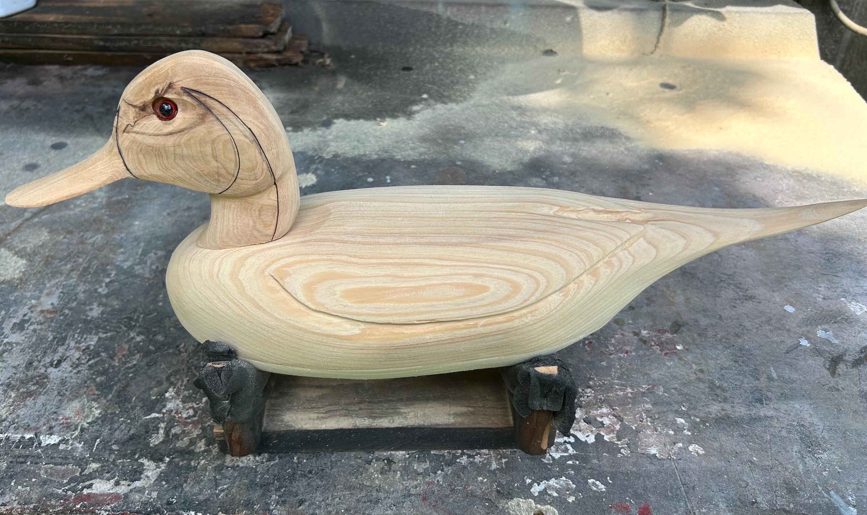 Señuelo de ánade rabudo en blanco