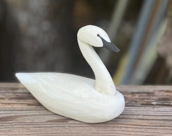 Kleine witte zwaan