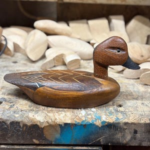 Green Winged Teal Hen