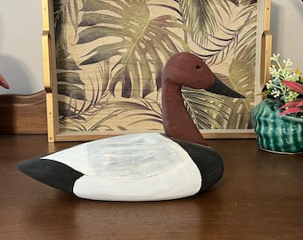 Small Canvasback