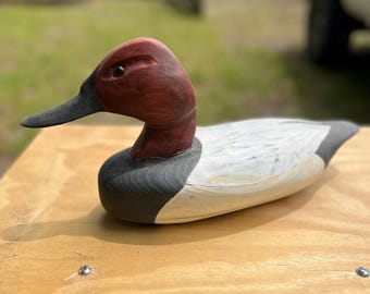Canvasback