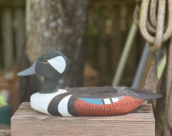 Hooded Merganser