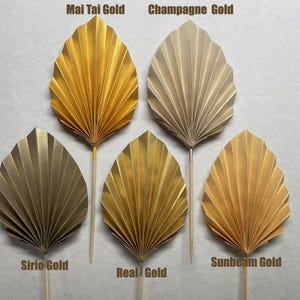May include: Five gold paper leaf decorations on wooden sticks. The leaves are in various shades of gold, including Mai Tai Gold, Champagne Gold, Sirio Gold, Real Gold, and Sunbeam Gold. Each leaf has a colour label.