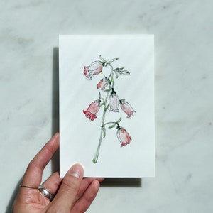 Aquarelldruck Glockenblume