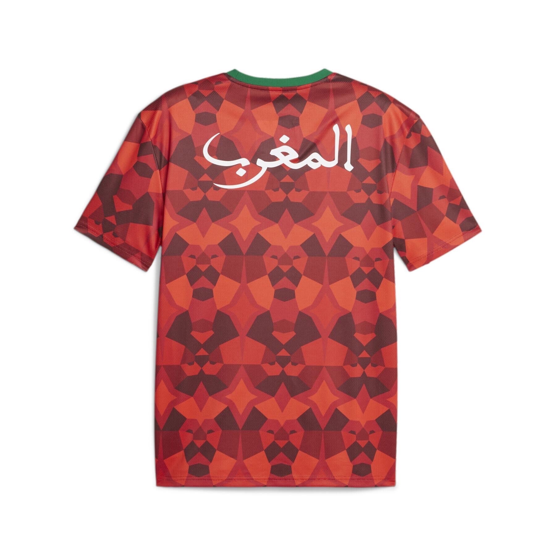 Destoking, Moroccan National Football Team Jersey CAN 2024 Morocco National Soccer Jersey CAN