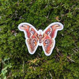 Atlas Moth Sticker Dishwasher Safe, Matte Finish, Die Cut Vinyl, Watercolor Print image 1