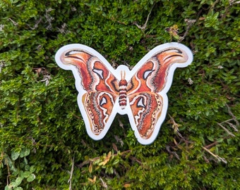 Atlas Moth Sticker | Dishwasher Safe, Matte Finish, Die Cut Vinyl, Watercolor Print