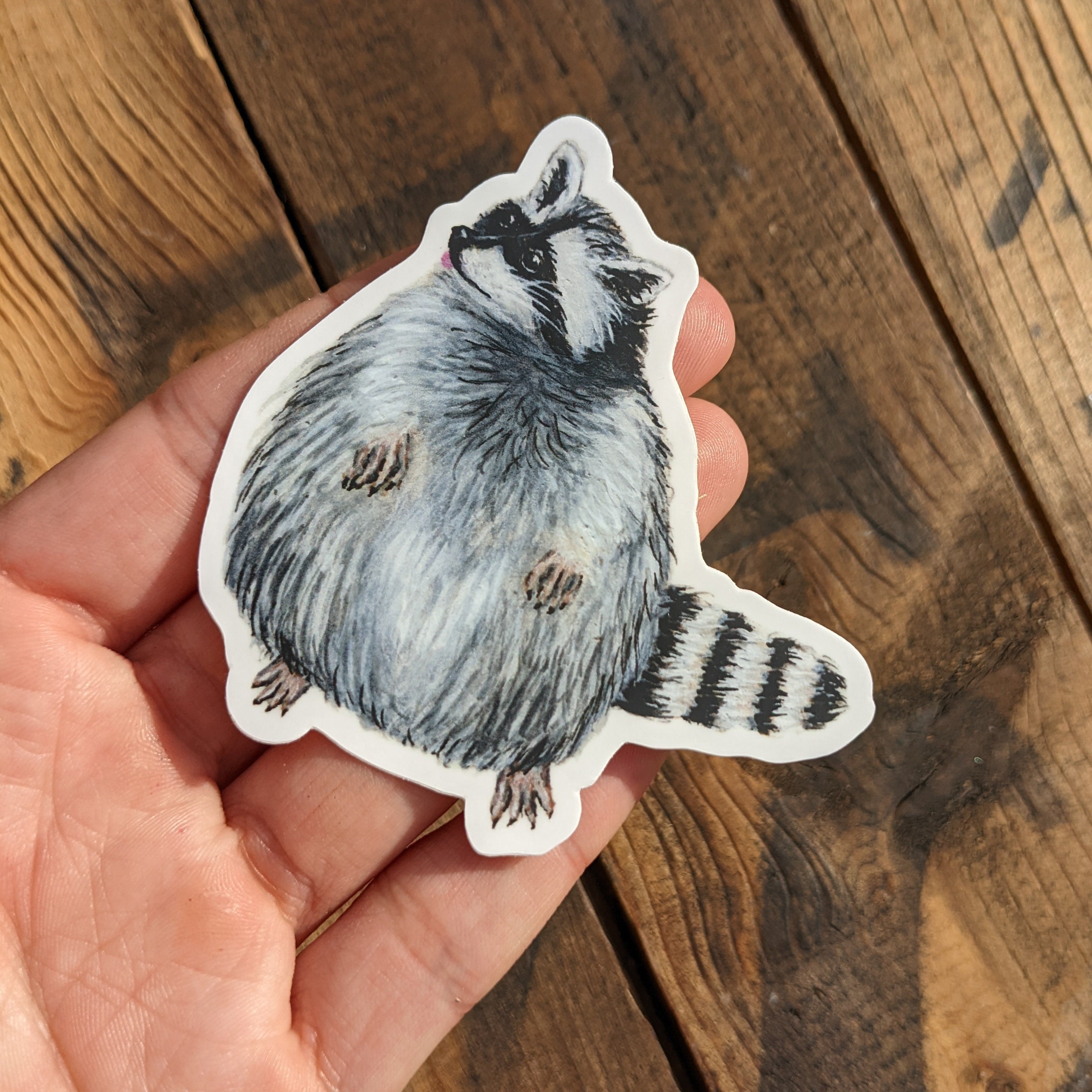 The Raccoon Sticker