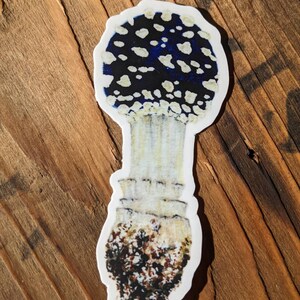 Adesivo fungo Berkshire Blue Amanita / Lavabile in lavastoviglie, finitura opaca, vinile fustellato, stampa acquerello