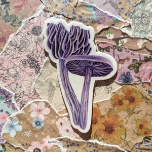 Amethyst Deceiver Mushroom Sticker Dishwasher Safe, Matte Finish, Die Cut Vinyl, Watercolor Print image 4