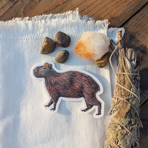 Peut inclure: Un autocollant représentant un capybara brun et blanc avec une petite couronne orange sur la tête. L'autocollant est sur un fond en lin blanc avec quelques petites pierres et un fagot d'herbes séchées.
