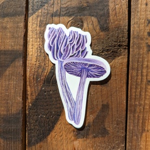 Amethyst Deceiver Mushroom Sticker Dishwasher Safe, Matte Finish, Die Cut Vinyl, Watercolor Print image 2