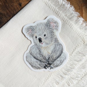 Pegatina de Petunia el koala, apta para lavavajillas, acabado mate, vinilo troquelado, impresión en acuarela