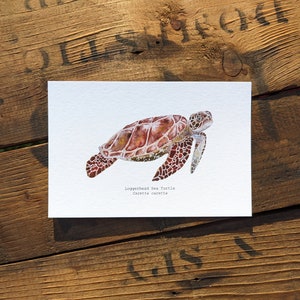 Aquarelle de tortue caouanne | Impression d'art signée de qualité archive, 4 x 6 po.