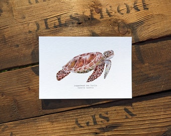 Loggerhead Sea Turtle Watercolor Print | 4"x6" Signed Archival Quality Fine Art Print