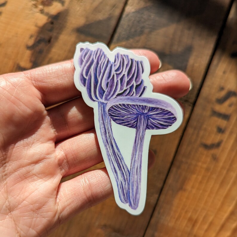 Amethyst Deceiver Mushroom Sticker Dishwasher Safe, Matte Finish, Die Cut Vinyl, Watercolor Print image 3