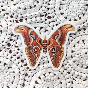 Atlas Moth Sticker Dishwasher Safe, Matte Finish, Die Cut Vinyl, Watercolor Print image 4