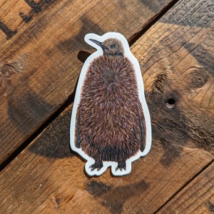 Adhesivo de polluelo de pingüino rey, apto para lavavajillas, acabado mate, vinilo troquelado, impresión en acuarela