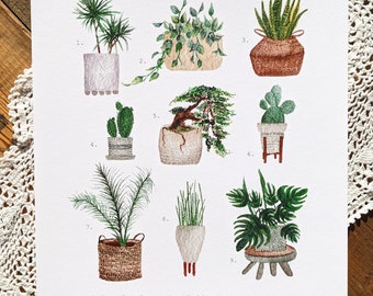 Puede incluir: Una ilustración de acuarela de nueve plantas en maceta, etiquetadas con sus nombres comunes y científicos. Las plantas incluyen un árbol dragón, un pothos dorado, una planta serpiente, un cactus azul columnar, un bonsái de olmo chino, un cactus orejas de conejo, una palmera majestuosa, una planta serpiente cilíndrica y una planta queso suizo.