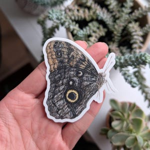 Pegatina de mariposa búho / Apto para lavavajillas, acabado mate, vinilo troquelado, impresión de acuarela