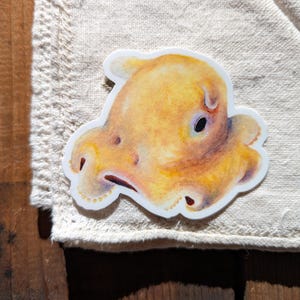 Pegatina de pulpo Dumbo / Apto para lavavajillas, acabado mate, vinilo troquelado, impresión en acuarela