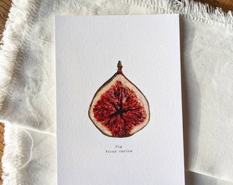 Fig Watercolor Print | 4"x6" Signed Archival Quality Fine Art Print