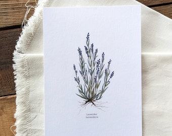 Lavender Watercolor Print | 5"x7" Signed Archival Quality Fine Art Print