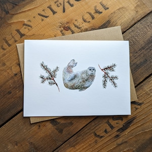 Könnte beinhalten: Eine weiße Karte mit einer Aquarell-Illustration eines grauen Seehundes mit hochgestellten Flossen, umgeben von zwei grünen Kiefernästen mit roten Beeren.