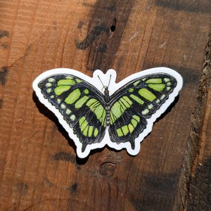 Pegatina de mariposa de malaquita / Apto para lavavajillas, acabado mate, vinilo troquelado, impresión en acuarela