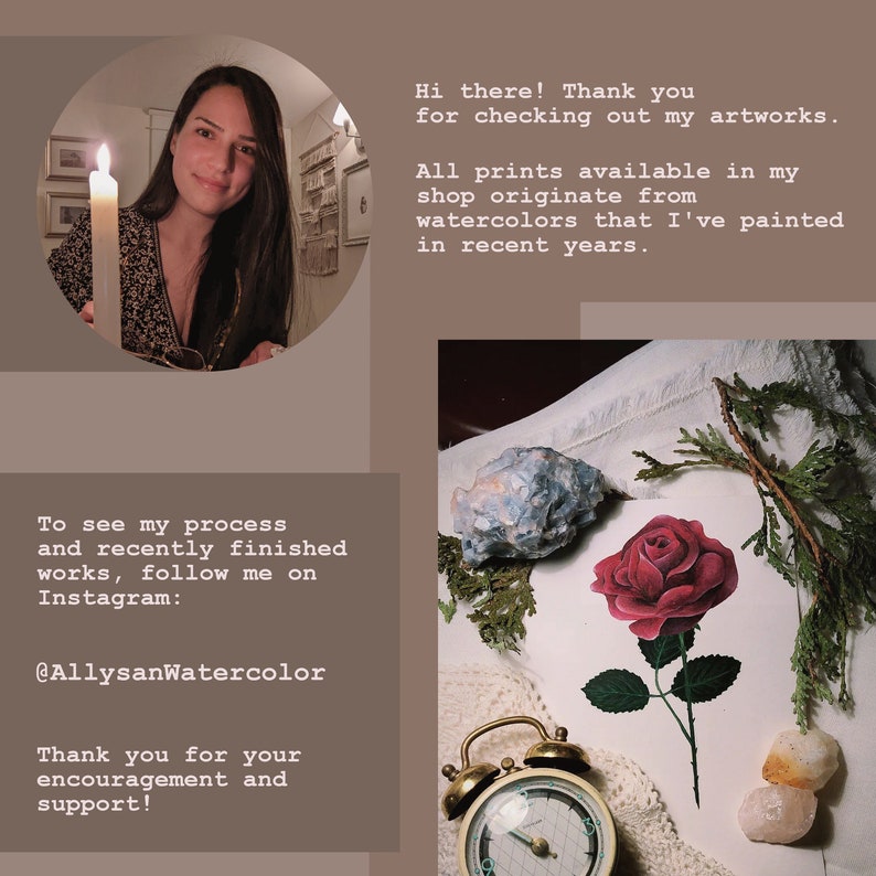 Insect Identification Watercolor Print / Bug Art Fine Art Etsy