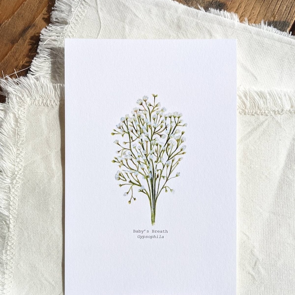 Baby's Breath Watercolor Print | 4"x6" Signed Archival Quality Fine Art Print