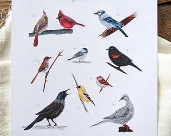 Backyard Birds Watercolor Print | 8"x10" Signed Archival Quality Fine Art Print