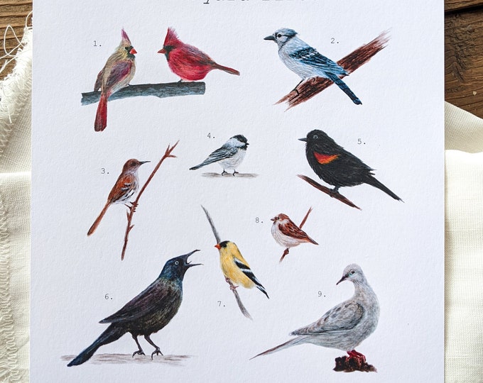 Backyard Birds Watercolor Print | 8"x10" Signed Archival Quality Fine Art Print