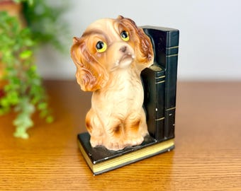 Vintage Ceramic Dog Bookend Big Eye Cocker Spaniel Cavalier King Charles Puppy on Books, Mid Century Kitsch Decor 1950s 1960s Norleans Japan