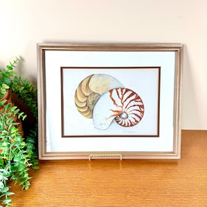 Vintage Framed Watercolor Print of Nautilus Sea Shells by artist D. Morgan 1980s Wall Artwork Gold Wood Frame 12x15" Beach Ocean Coastal