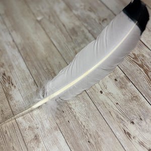 Imitation Eagle Feather: Hat Band Embellishment (12-14 Inches)